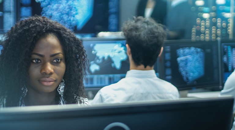Government technology workers 